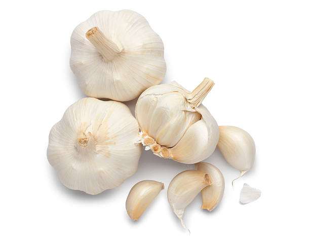 Immune System garlic