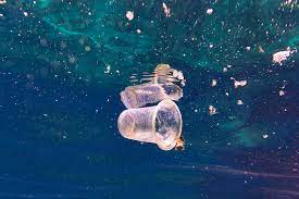 Challenges Facing the Oceans