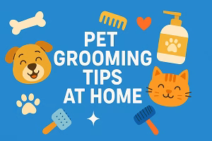 A digital illustration featuring the title “PET GROOMING TIPS AT HOME” with icons of a smiling dog, cat, comb, shampoo bottle, bone, paw prints, and grooming brushes on a blue background.